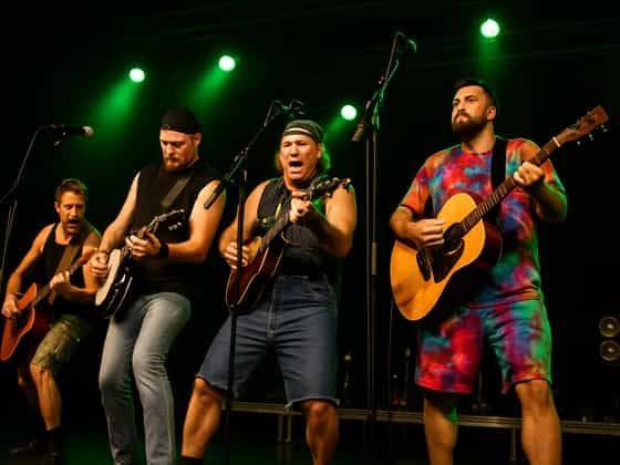Hayseed Dixie